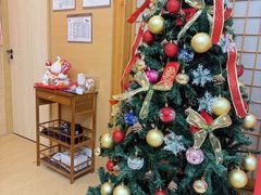 -猫十亿·布偶金渐层·曼基康矮脚猫舍(青年路店)