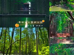 -溱湖国家湿地公园