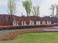 -上海滨江森林公园
