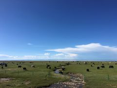-青海湖国家重点风景名胜区