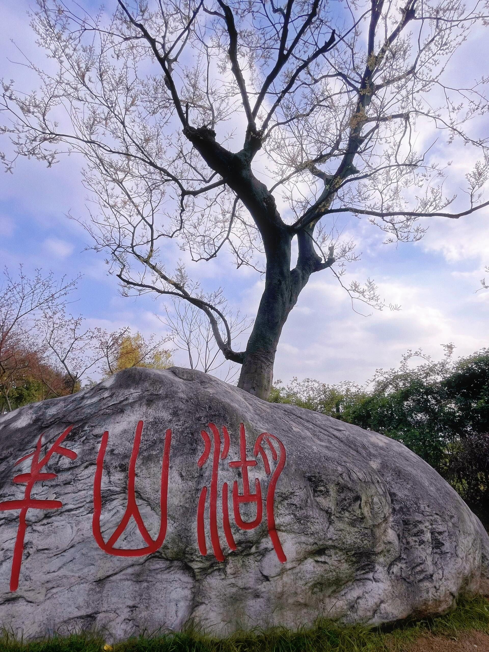 羊山湖公园免费小众赏樱好去处