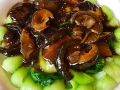 香菇菜心-旭龙鱼头王(航华店)