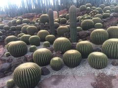 -南通洲际绿博园