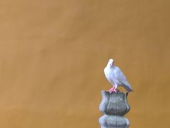 -杭州上天竺法喜讲寺