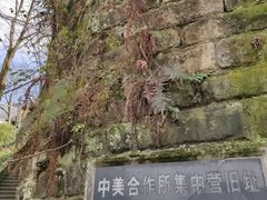 游乐设施-重庆歌乐山烈士陵园