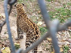 -大连森林动物园