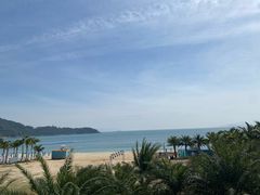 -龙溪海鲜酒家(溪涌店)