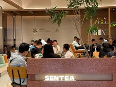 -森茶(湛江万达店)