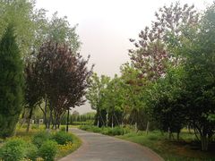 -永定河休闲森林公园