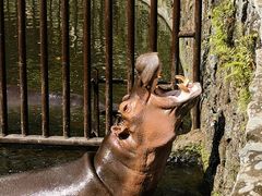 -海南热带野生动植物园