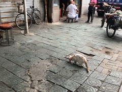 -老太皮肚面