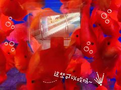 -泉州海丝野生动物世界