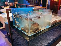 -小酒吧烧烤(爱建店)