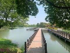 -尚贤河湿地