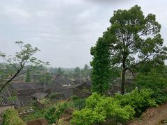-许家山
