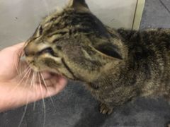 -随柳居·苏式小吃(建新巷店)