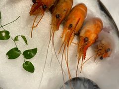 -桂满陇·海市蜃楼·黑金(国金店)