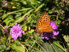 -白草畔自然风景区