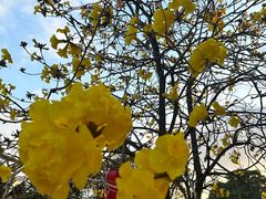 -飞翔公园(地铁站)