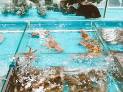 水产区-渔人湾码头海鲜市场负二楼