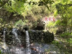 -宁波市保国寺古建筑博物馆