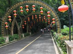 -大屏嶂森林公园