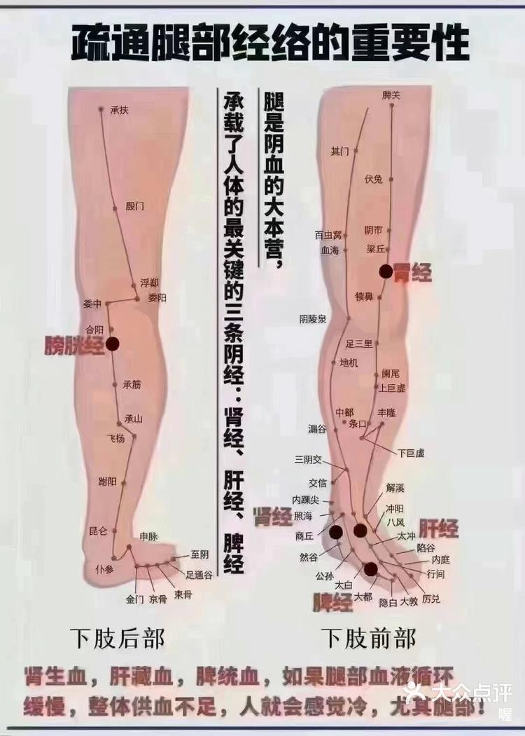 大腿外侧的经络按着疼图片