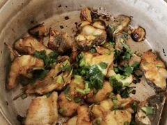 -八仔大富楼·河鲜(西江店)