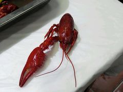 -呆虾王龙虾馆(南湖总店)
