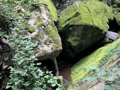 -西安祥峪森林公园