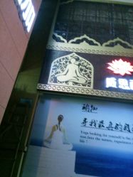 -每日爆汗·威思丽瑜伽普拉提