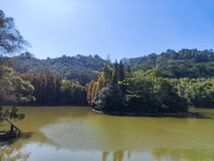 -滴水岩森林公园