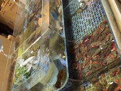 -天盛海鲜烧烤大排档·本地小海鲜·牟平腿穗子(幸福店)
