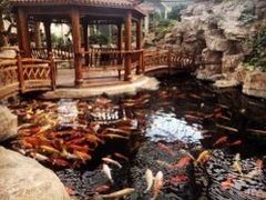 -龙达温泉生态城