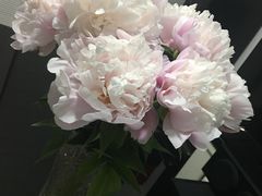 -双季花艺园艺市场(浦东店)