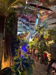 -恐龙探索乐园(磁器口店)