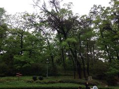 -武侯墓风景区