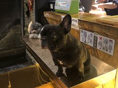 -more than meow吴止猫主题餐厅(承德 中船汇店)