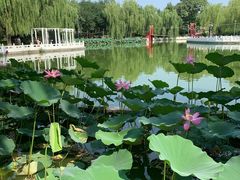-丰台花园