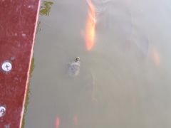-龙头寺公园