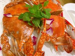 -国惠大酒楼(宝龙店)