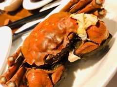 大闸蟹-广州富力君悦大酒店·凯菲厅