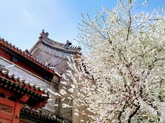 -雍和宫(地铁站)