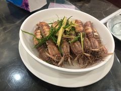 濑尿虾-蚝专家(北滘店)