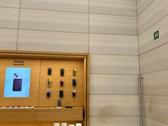 -Apple零售店(济南恒隆广场店)