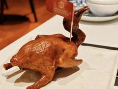 -侨美食家·41年地道粤菜(珠江新城店)