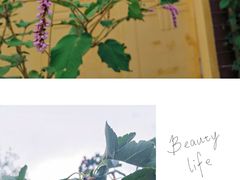 -武清南湖绿博园