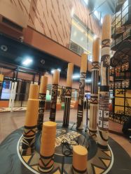 -卡通尼·Safari非洲探索乐园·生日会(金桥国际商业广场店)