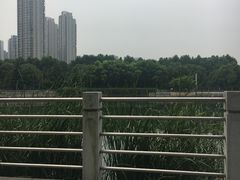 -后襄河公园