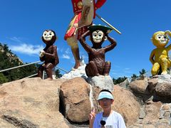 -西霞口神雕山野生动物世界